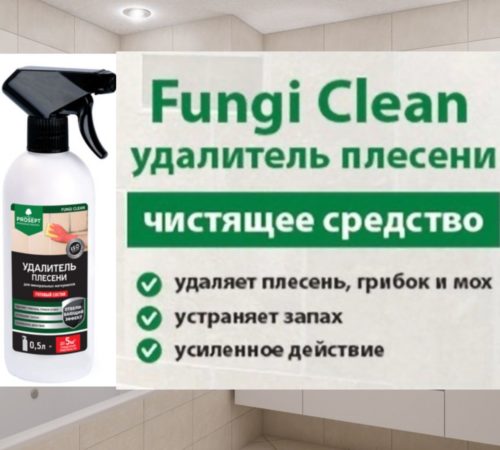 ПРОСЕПТ FUNGI CLEAN 0,5л удалитель плесени